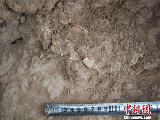 考古表明：陕西周原遗址大墓分布特点与殷墟类同