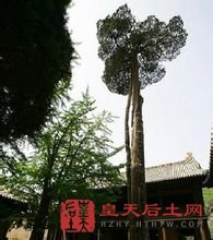 青莲寺