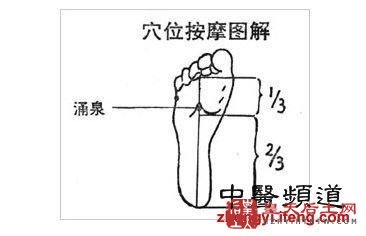 凤凰中医人体十大养生穴位强身体防疾病