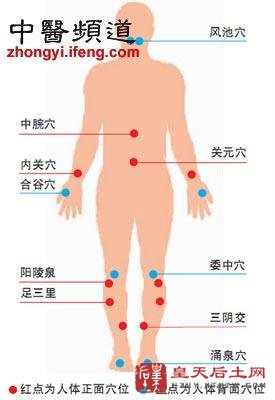 凤凰中医人体十大养生穴位强身体防疾病