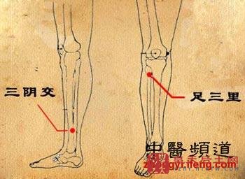 养生滋补按摩五大人体穴位甚于吃补药