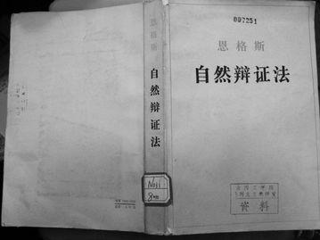 周桂钿：哲学到底有什么用？
