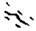 clip_image006.jpg